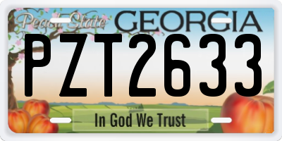 GA license plate PZT2633