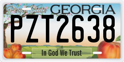 GA license plate PZT2638