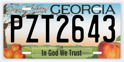 GA license plate PZT2643