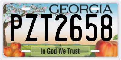 GA license plate PZT2658