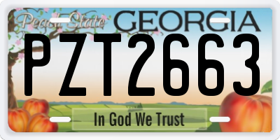 GA license plate PZT2663