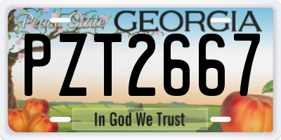 GA license plate PZT2667