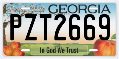 GA license plate PZT2669