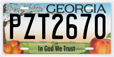 GA license plate PZT2670