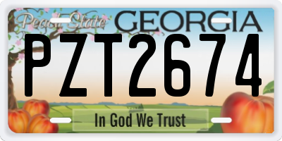 GA license plate PZT2674
