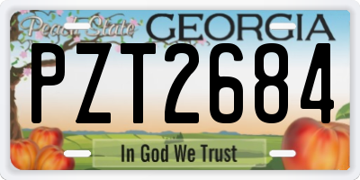 GA license plate PZT2684