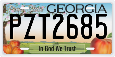 GA license plate PZT2685