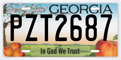 GA license plate PZT2687