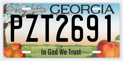 GA license plate PZT2691