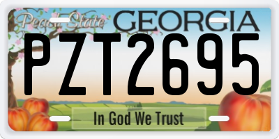 GA license plate PZT2695