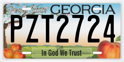 GA license plate PZT2724