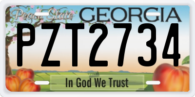 GA license plate PZT2734