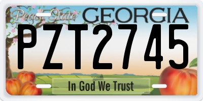 GA license plate PZT2745