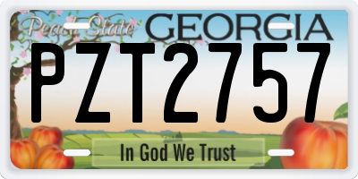 GA license plate PZT2757