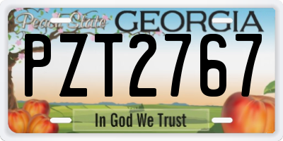 GA license plate PZT2767