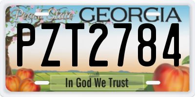 GA license plate PZT2784