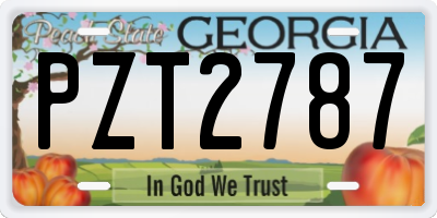 GA license plate PZT2787