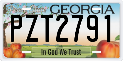 GA license plate PZT2791