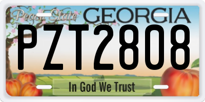 GA license plate PZT2808