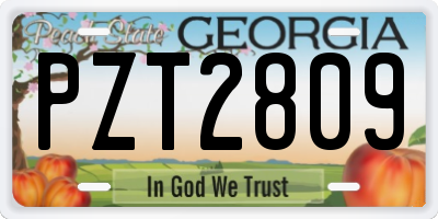 GA license plate PZT2809