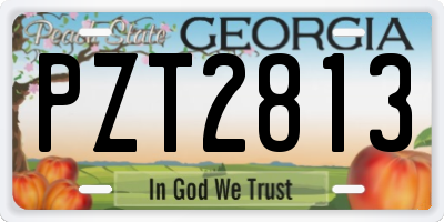 GA license plate PZT2813