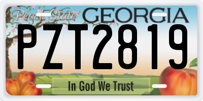GA license plate PZT2819