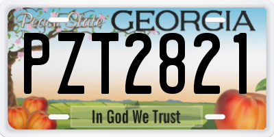 GA license plate PZT2821