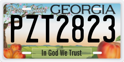 GA license plate PZT2823