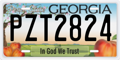 GA license plate PZT2824