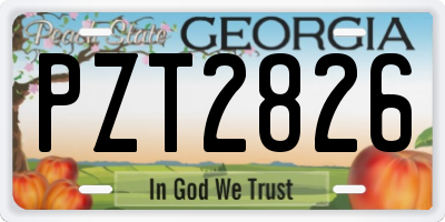 GA license plate PZT2826