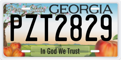 GA license plate PZT2829