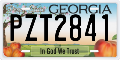 GA license plate PZT2841