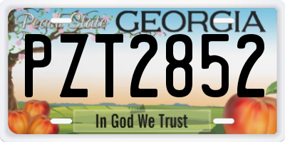 GA license plate PZT2852