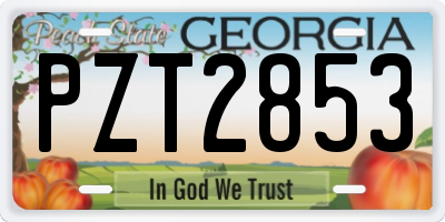 GA license plate PZT2853