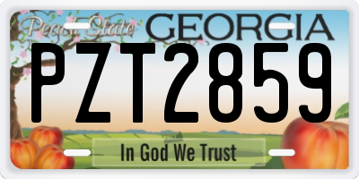 GA license plate PZT2859