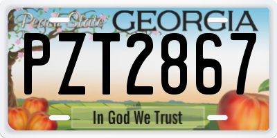 GA license plate PZT2867