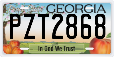 GA license plate PZT2868