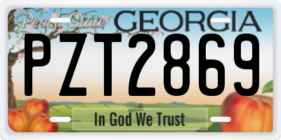 GA license plate PZT2869