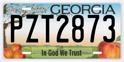 GA license plate PZT2873