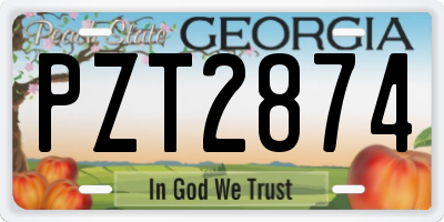 GA license plate PZT2874