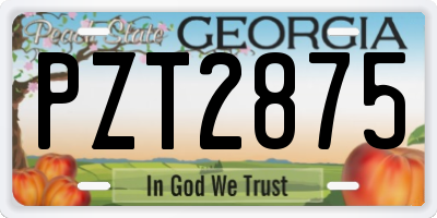 GA license plate PZT2875
