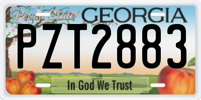 GA license plate PZT2883