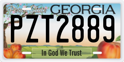 GA license plate PZT2889