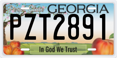 GA license plate PZT2891