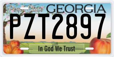 GA license plate PZT2897