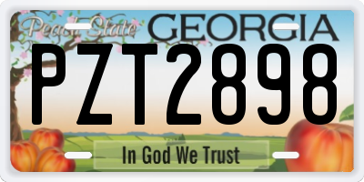 GA license plate PZT2898