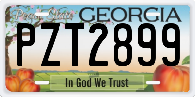 GA license plate PZT2899