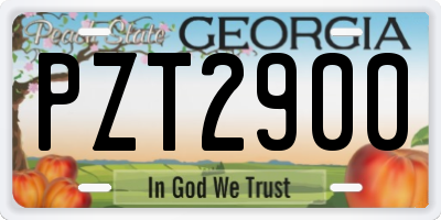 GA license plate PZT2900