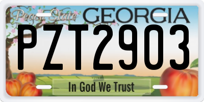 GA license plate PZT2903
