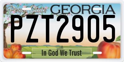 GA license plate PZT2905